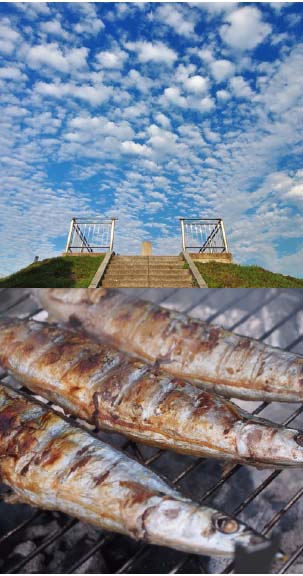 愛の歳時記365日（鑑賞・俳句αあるふぁ編集部）