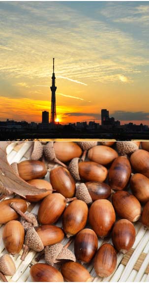 愛の歳時記365日（鑑賞・俳句αあるふぁ編集部）