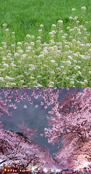 愛の歳時記365日（鑑賞・俳句αあるふぁ編集部