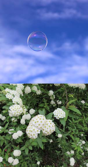 空の歳時記365日（鑑賞・俳句αあるふぁ編集部）