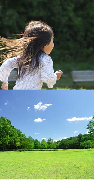 空の歳時記365日（鑑賞・俳句αあるふぁ編集部）