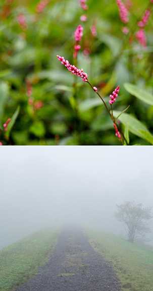 空の歳時記365日（鑑賞・俳句αあるふぁ編集部）