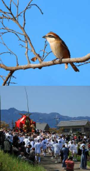 空の歳時記365日