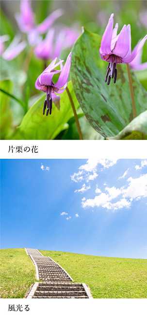 空の歳時記365日
