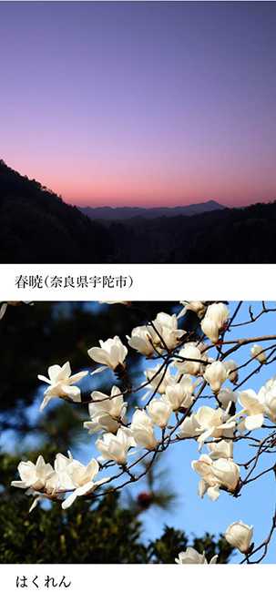 空の歳時記365日