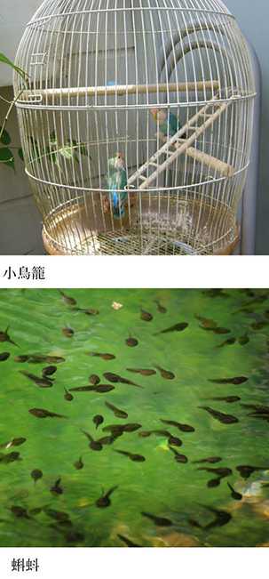 いきもの歳時記365日